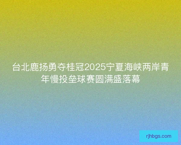 台北鹿扬勇夺桂冠2025宁夏海峡两岸青年慢投垒球赛圆满盛落幕